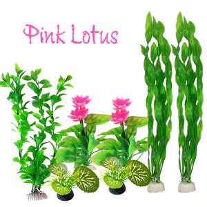 Pink lotus Pack