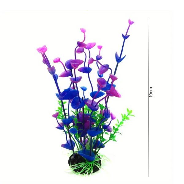 Purple Kelp - Image 2
