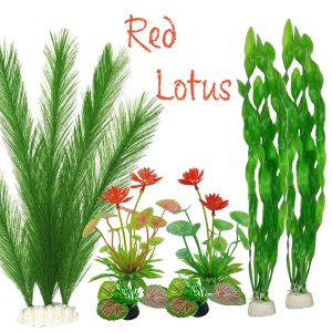Red lotus Pack