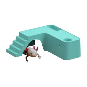 Axolotl Oasis tunnel