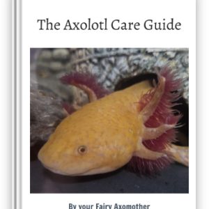 The Axolotl Care Guide